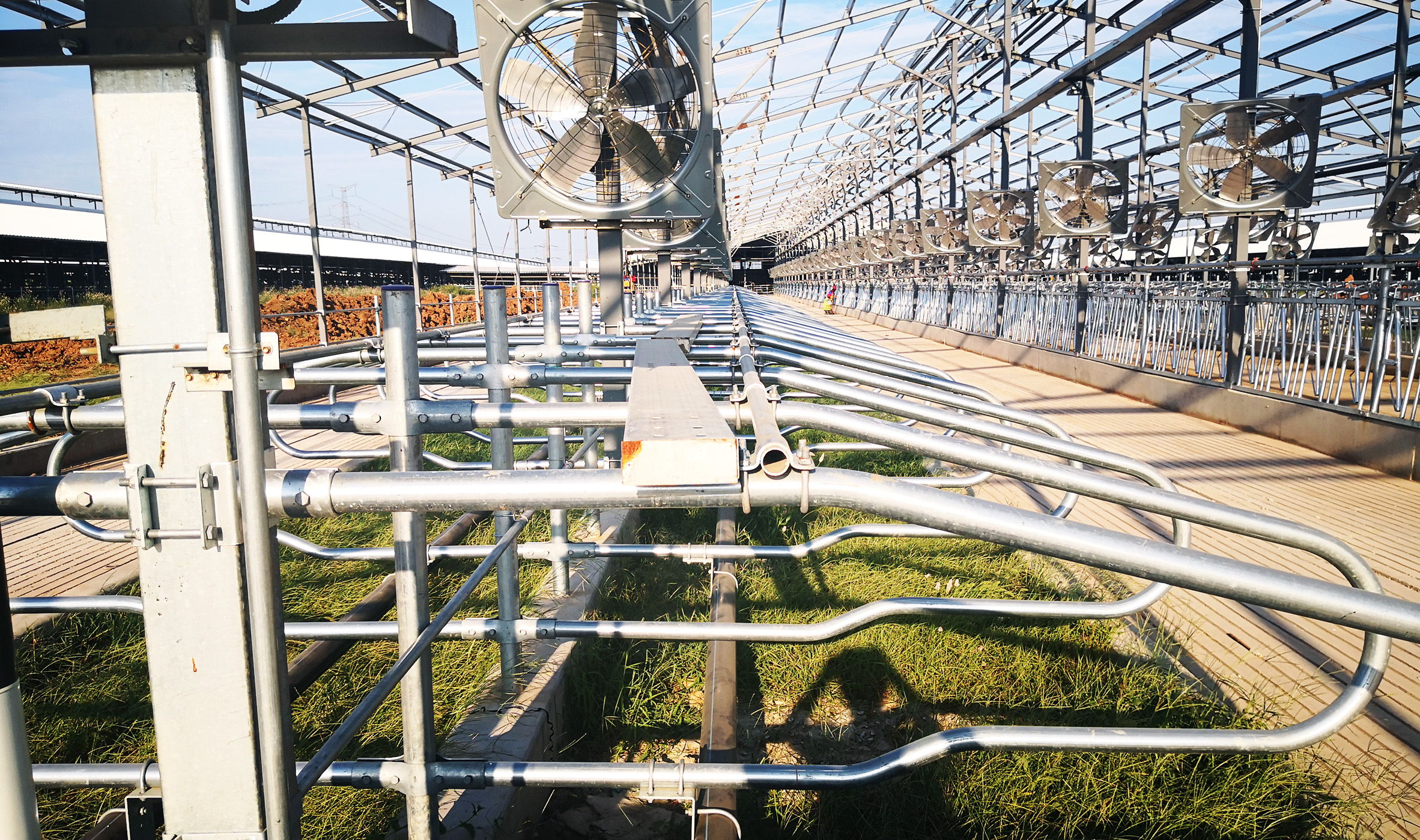 颈枷、卧床、隔栏门