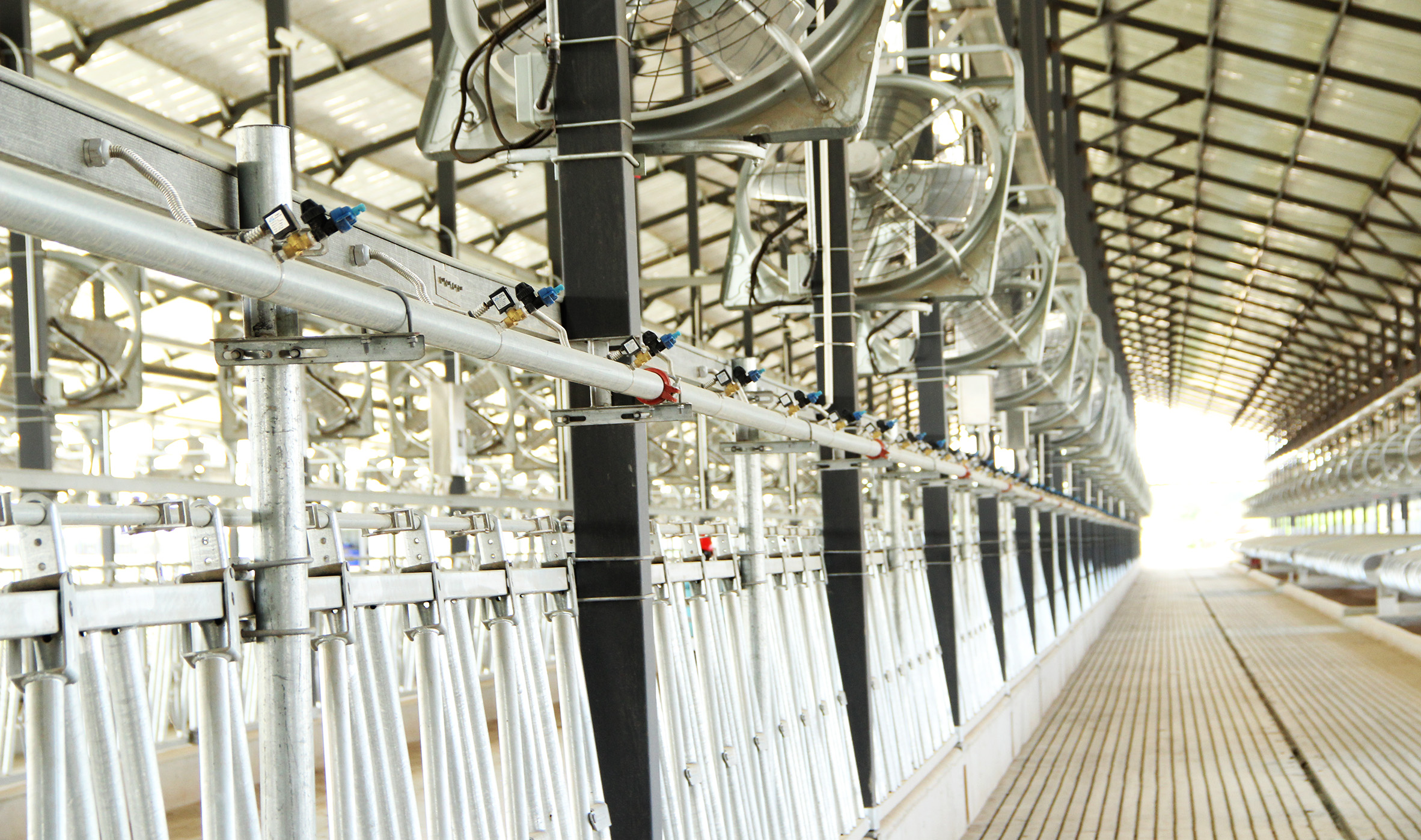 AI精准喷淋系统